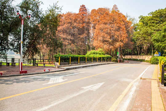 汽车道路标