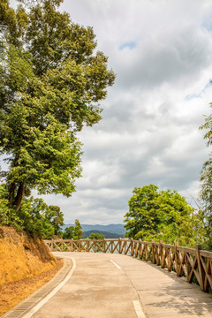 水泥路风景