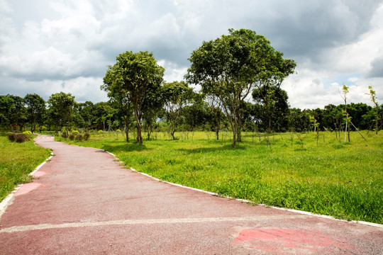 绿道小路