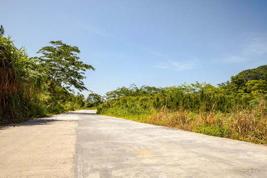 道路水泥路