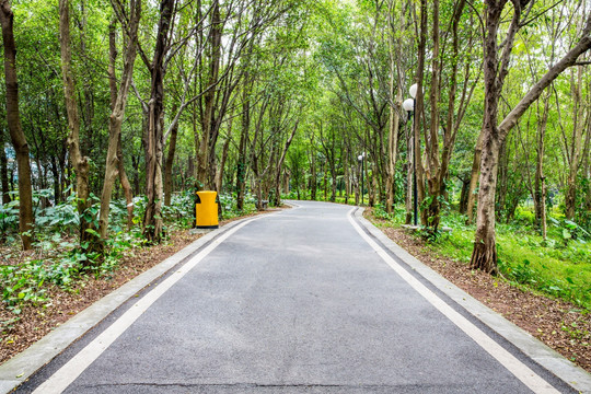 道路路口