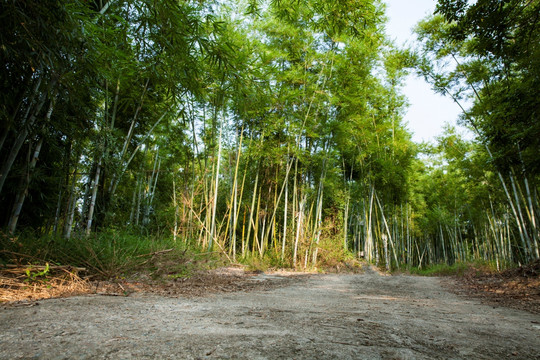 水泥路晴天