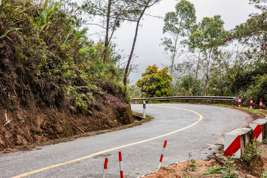 公路绿化带