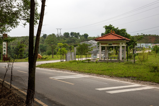 道路草丛