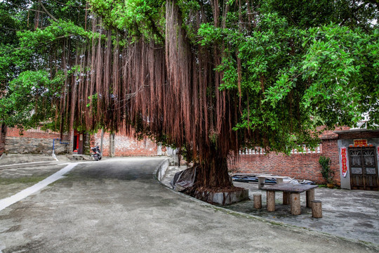 建筑阴天