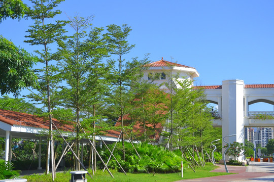 珠海横琴岛街景