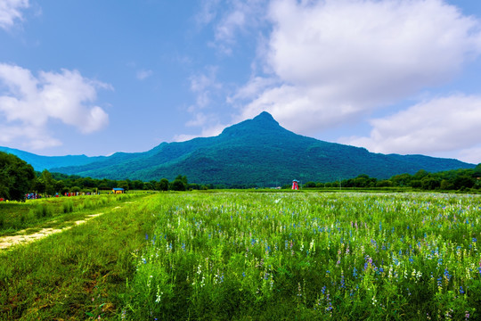 远山