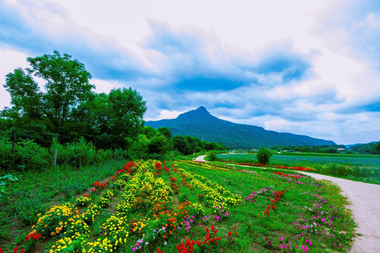 花海远山