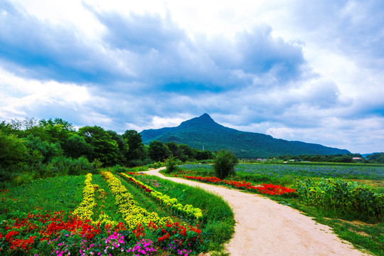 花海远山