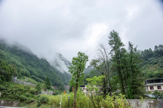 卧龙大熊猫基地