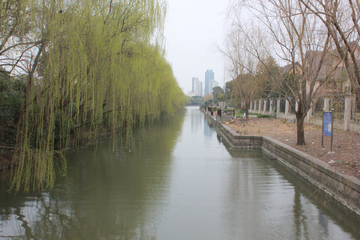 河道风景