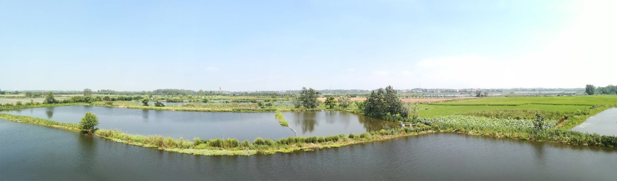 江南水田风景