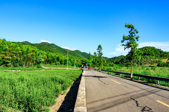 乡村公路