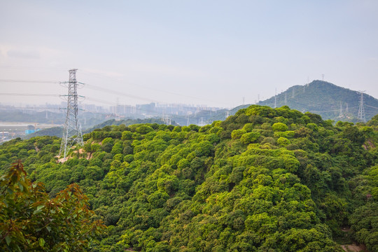 梅林后山远眺