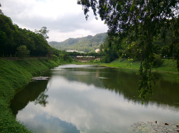 青山绿水