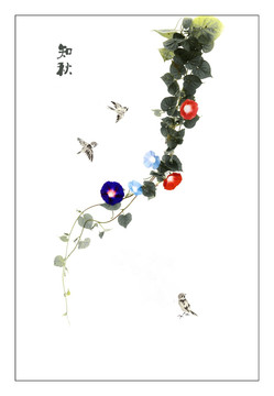 牽牛花 無框畫