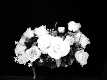 黑白一束花