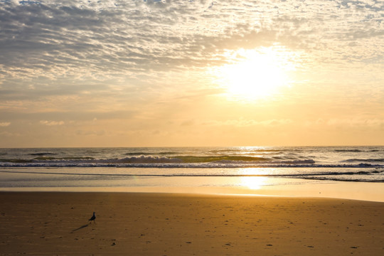 澳大利亚黄金海岸日出沙滩