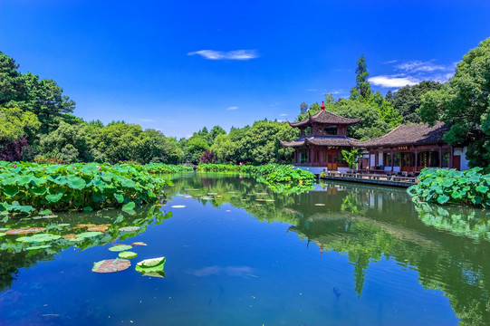 曲院风荷 西湖风光