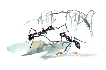手绘春天的蚂蚁
