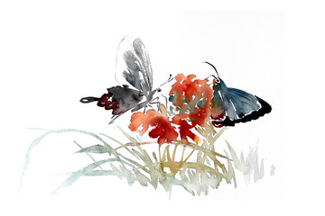 手繪蝴蝶與花卉