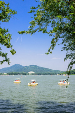 玄武湖公园风景