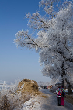 吉林雾凇岛