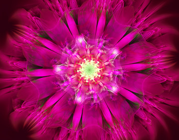 花朵花紋