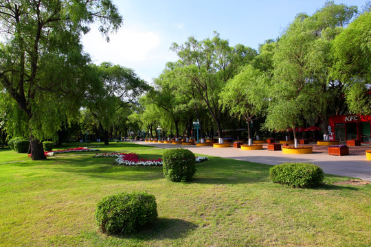 太阳岛 植物园