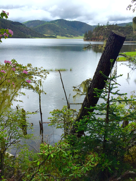 高山湖泊碧塔海