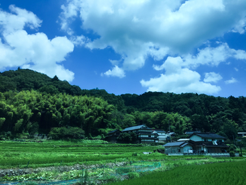 日本农村 民宿 风光