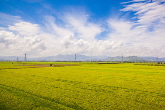 美丽乡间田野