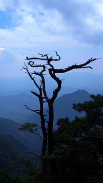 三清山风光