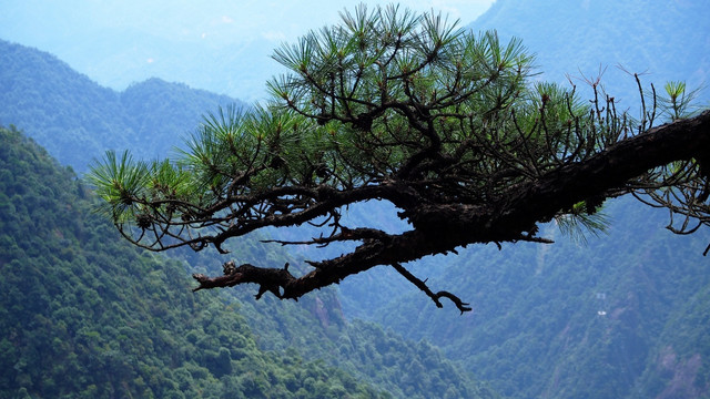 三清山风光