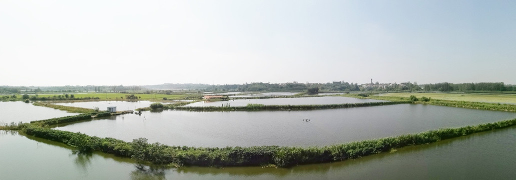 江南水田风景