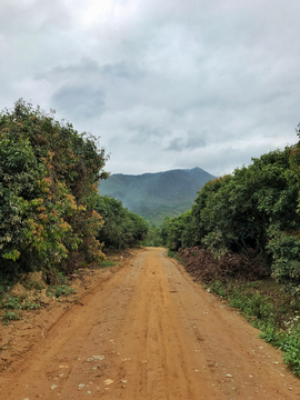 山路