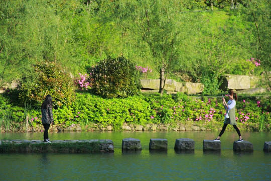 长沙梅溪湖桃花岭公园