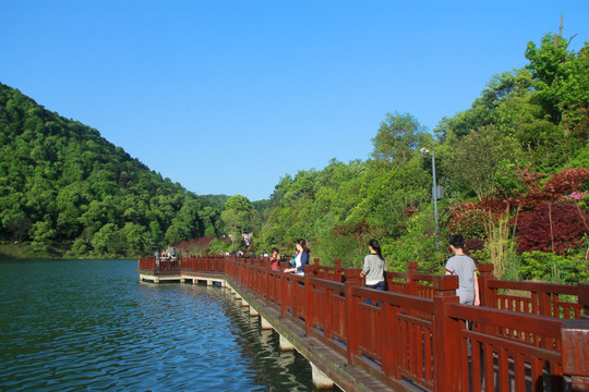 长沙梅溪湖桃花岭公园