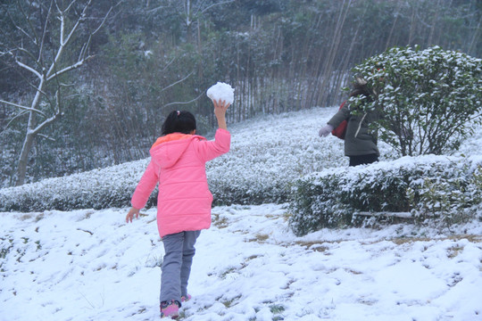 梅溪湖桃花岭打雪仗