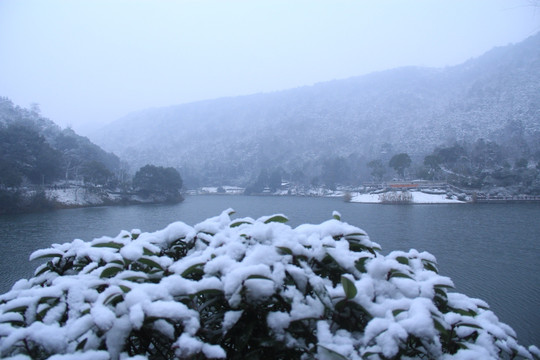 长沙梅溪湖桃花岭雪景