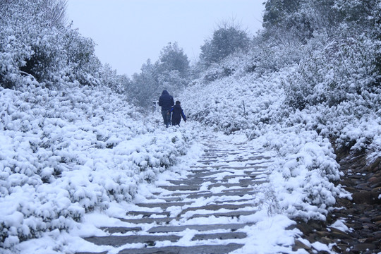 长沙梅溪湖桃花岭雪景