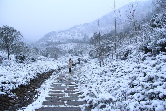 长沙梅溪湖桃花岭雪景