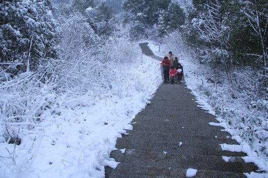 长沙梅溪湖桃花岭雪景