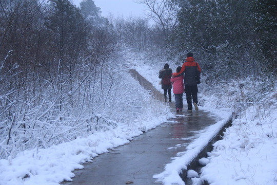 长沙梅溪湖桃花岭雪景