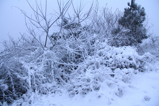 长沙梅溪湖桃花岭雪景