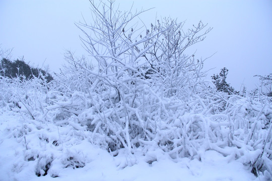 长沙梅溪湖桃花岭雪景