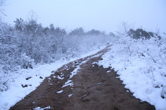 长沙梅溪湖桃花岭雪景