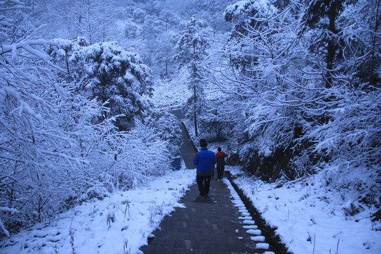 长沙梅溪湖桃花岭雪景