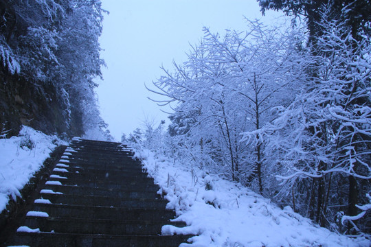 长沙梅溪湖桃花岭雪景