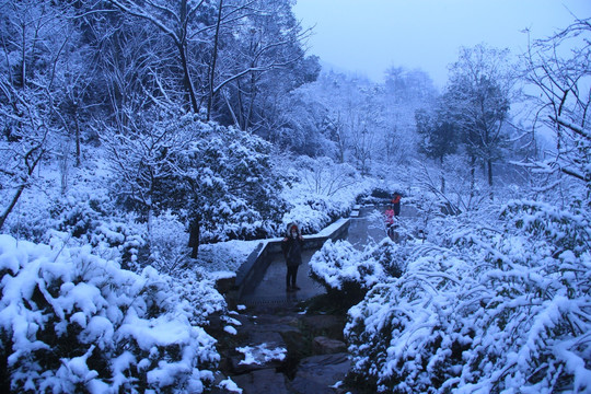 长沙梅溪湖桃花岭雪景